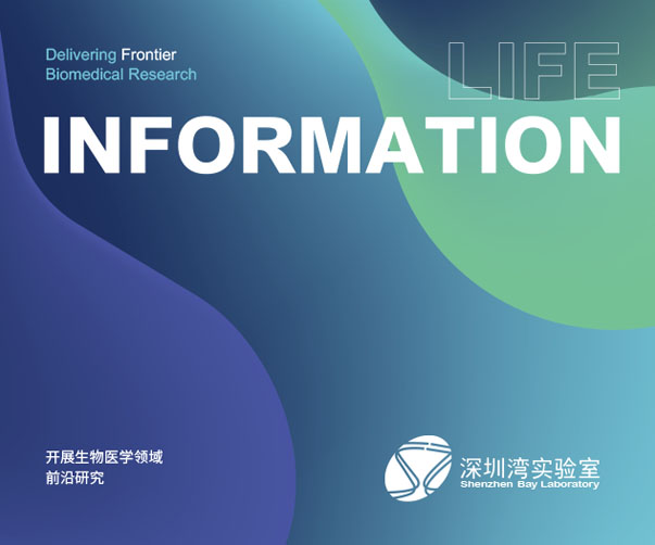 企業(yè)品牌網(wǎng)站建設公司-品牌鞏固與市場拓展的得力伙伴