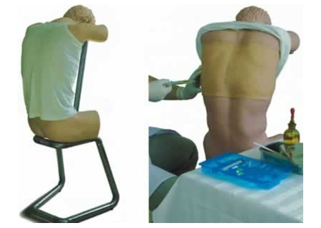 SYL/CK812 背部(胸部)穿刺訓練模型